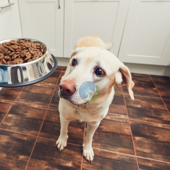 dried pet food